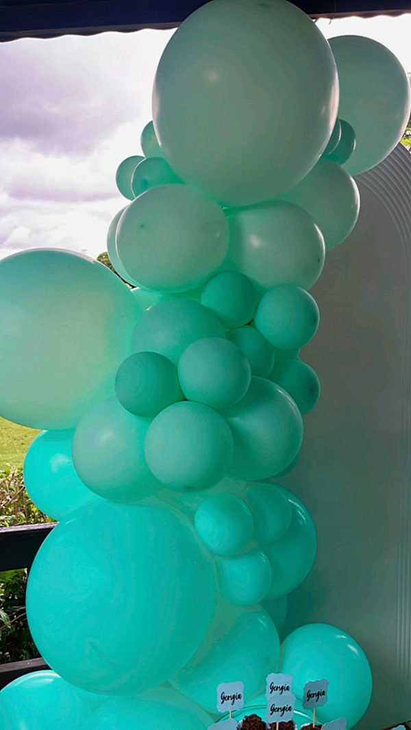 Festa Verde Água