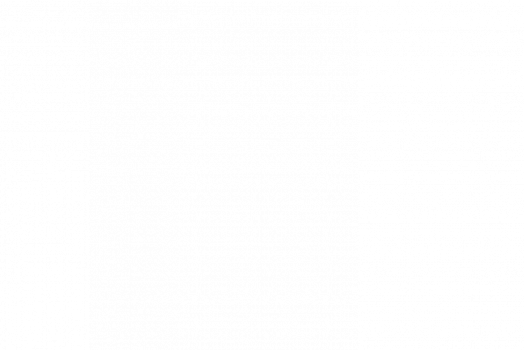 Festa Rosa